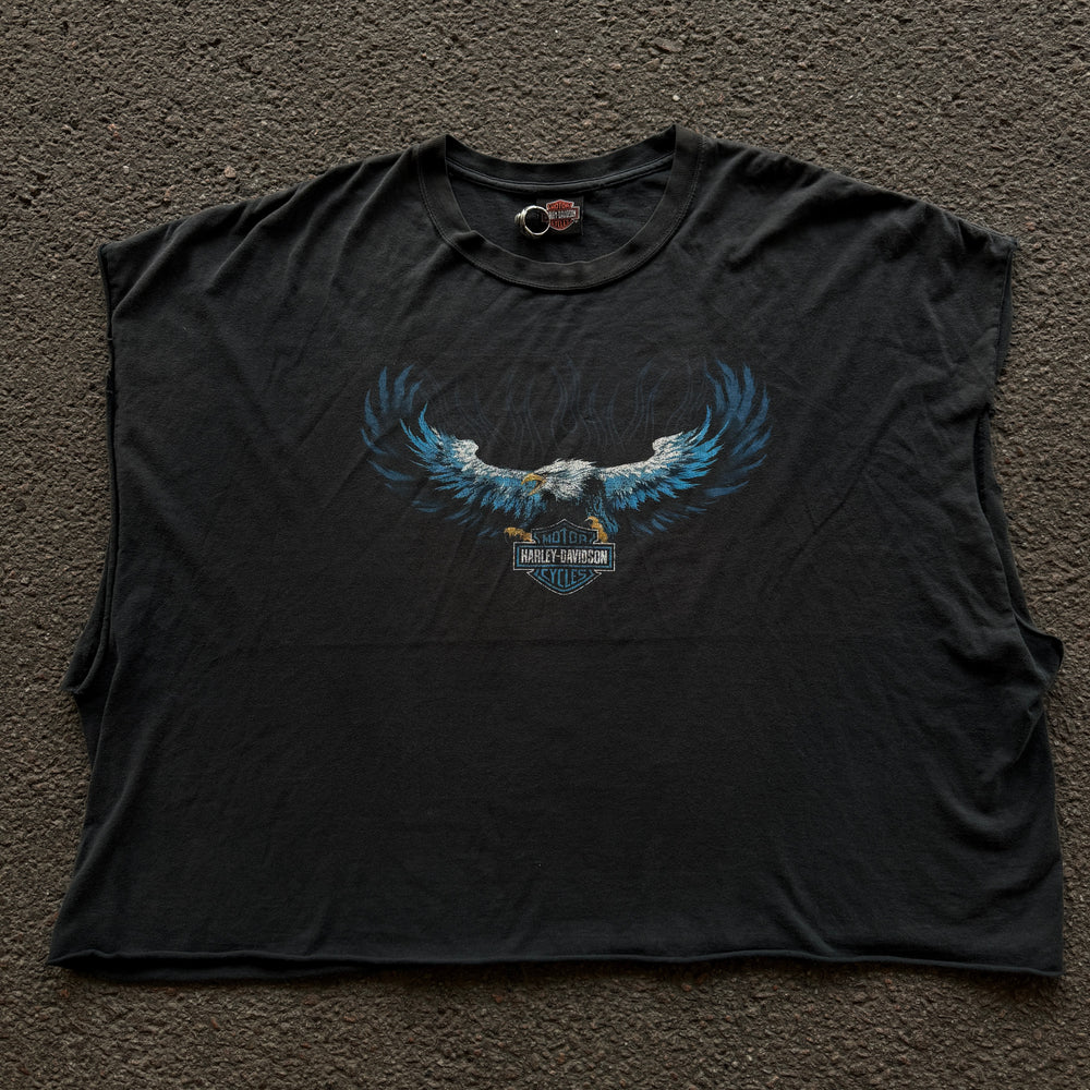 Baer Harley-Davidson